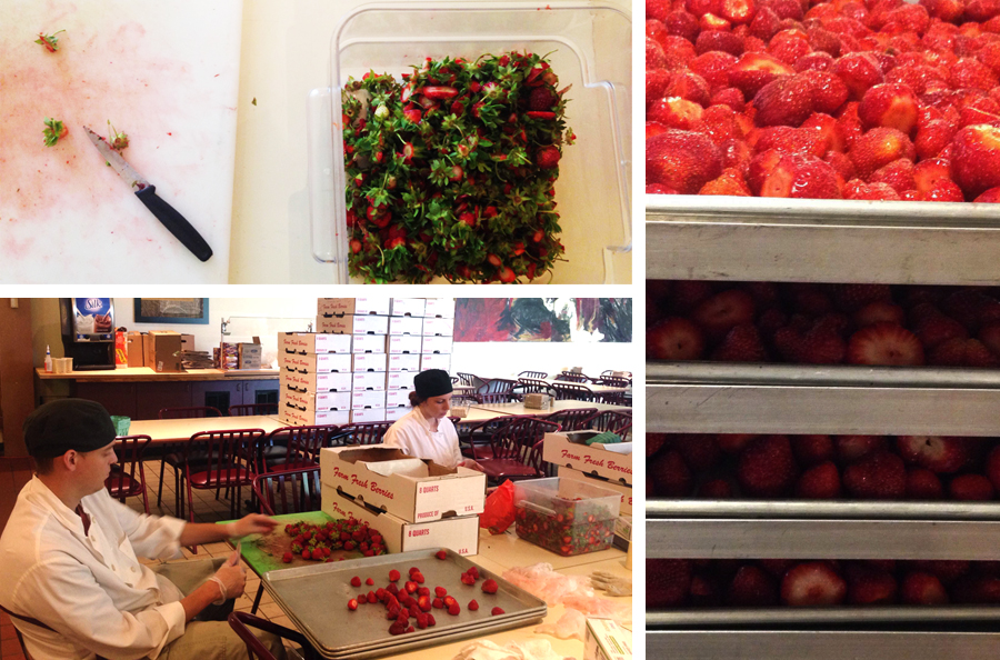 processing-strawberries
