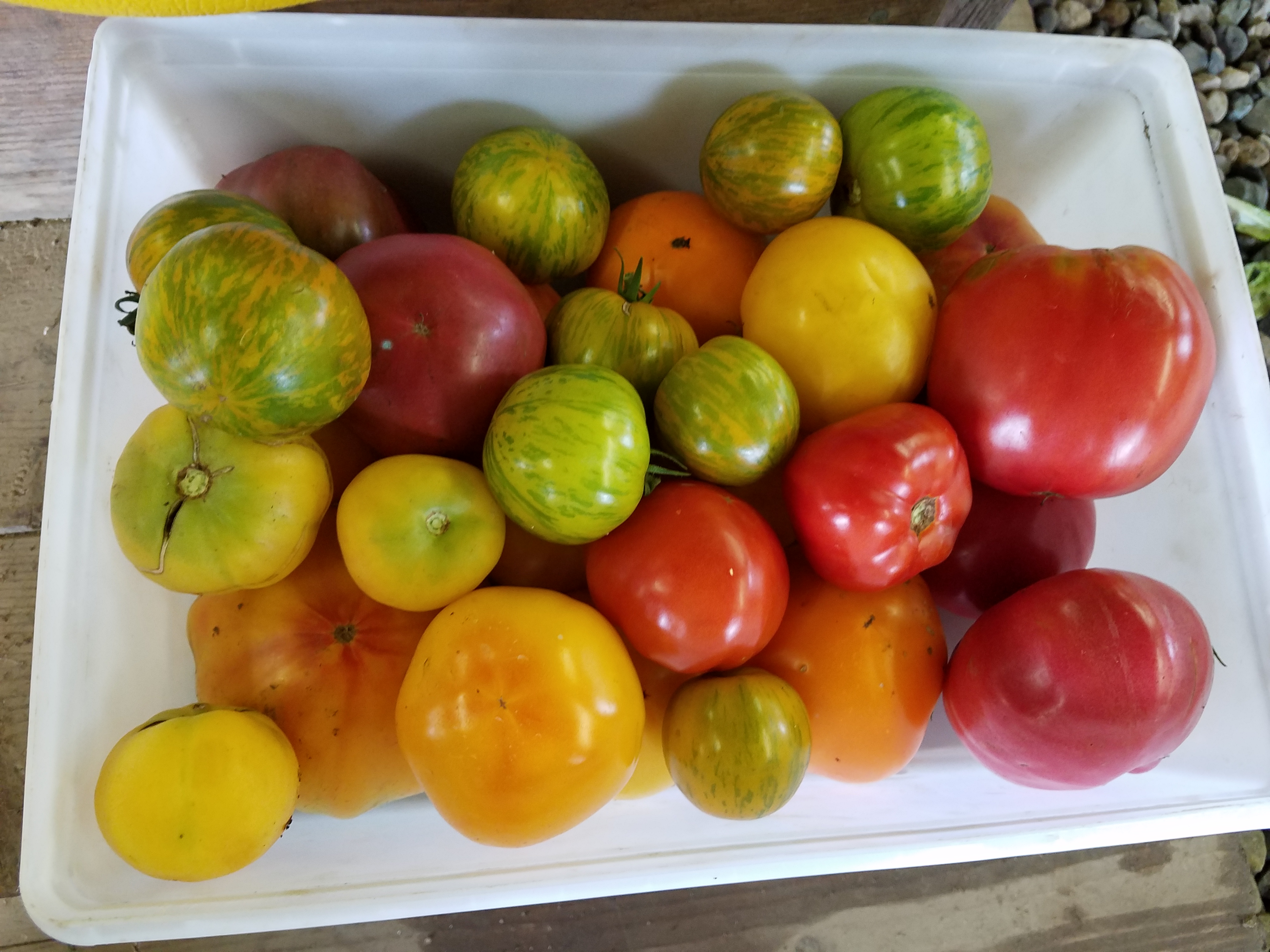 box of heirloom tomatoes