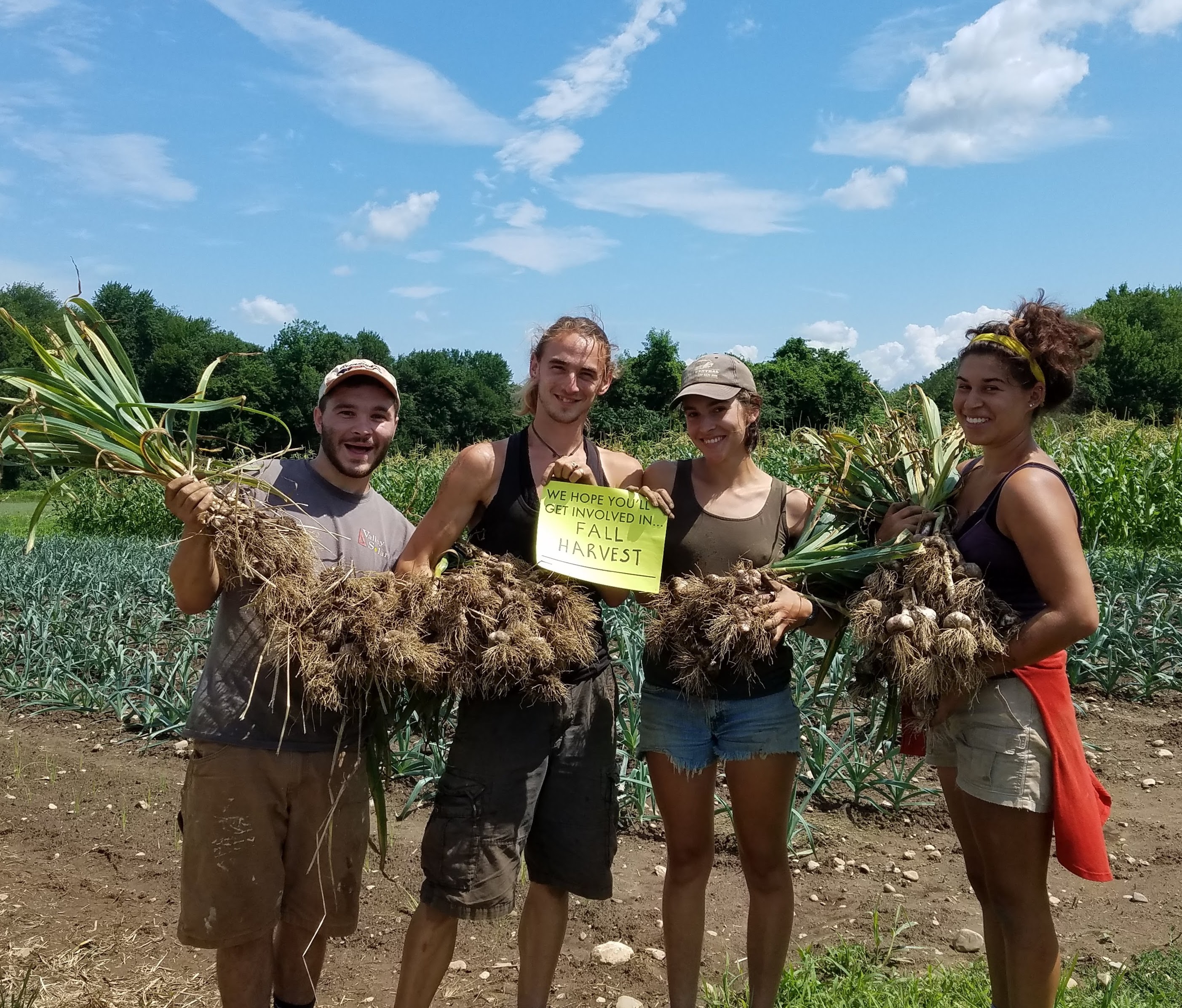 group of 4 people in a field holding garlic bunches and a sign that says "We hope you will jget involved infall harvest"