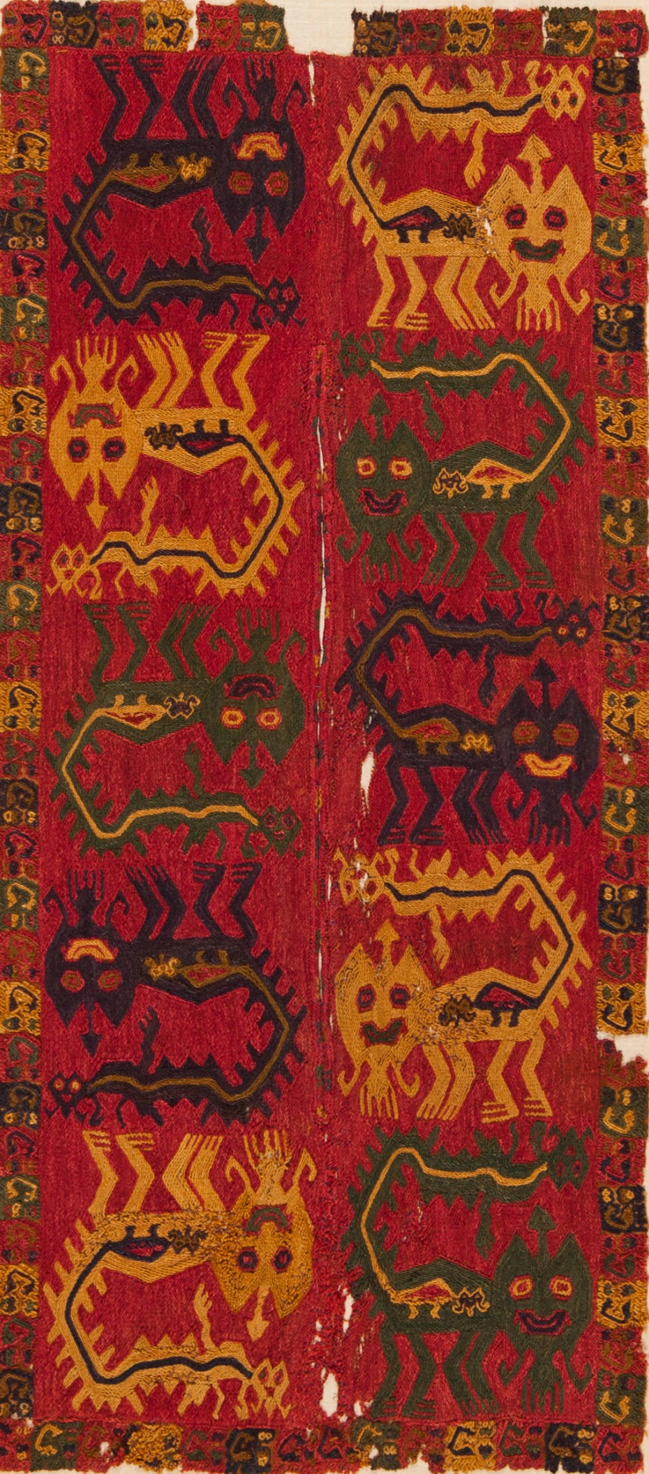 Clothing fragment with Pampas Cats