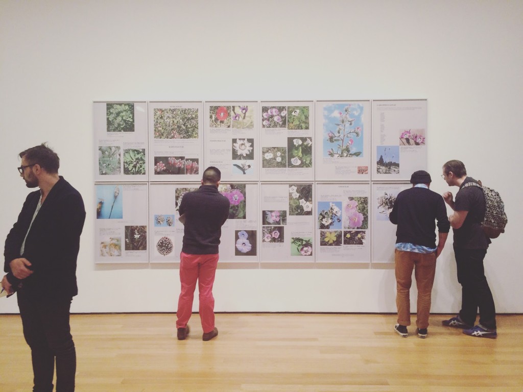 Bruce High Quality Foundation University Gallery Fellows explore "Walid Raad" at MoMA
