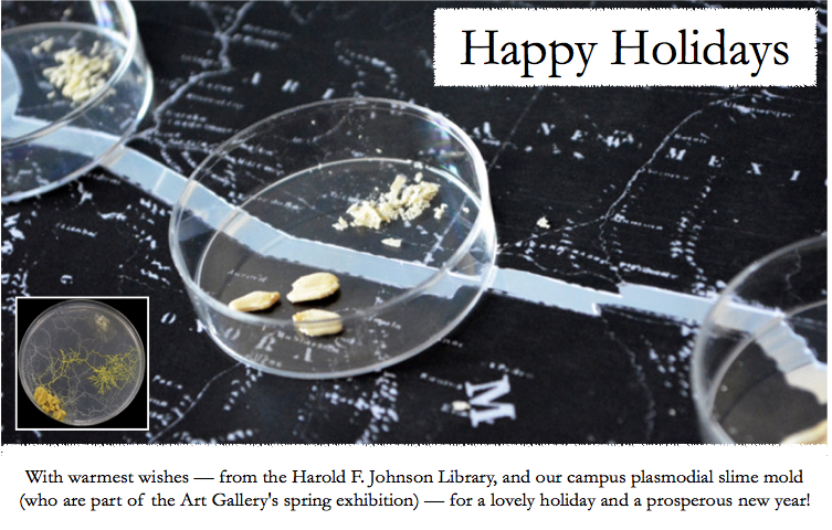 Happy Holidays from the Harold F. Johnson Library!