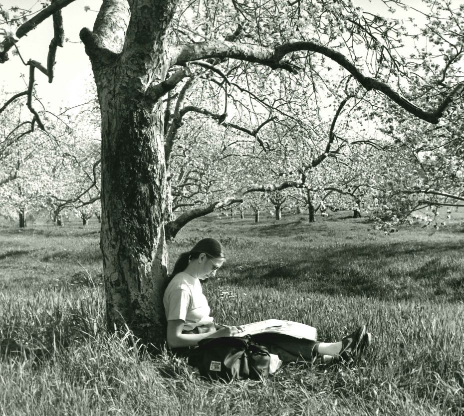 Student under apple tree