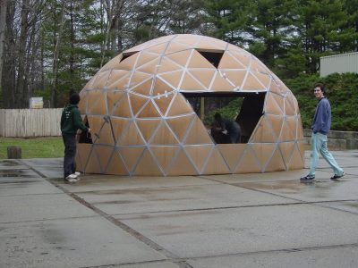Cardboard buckyball dome