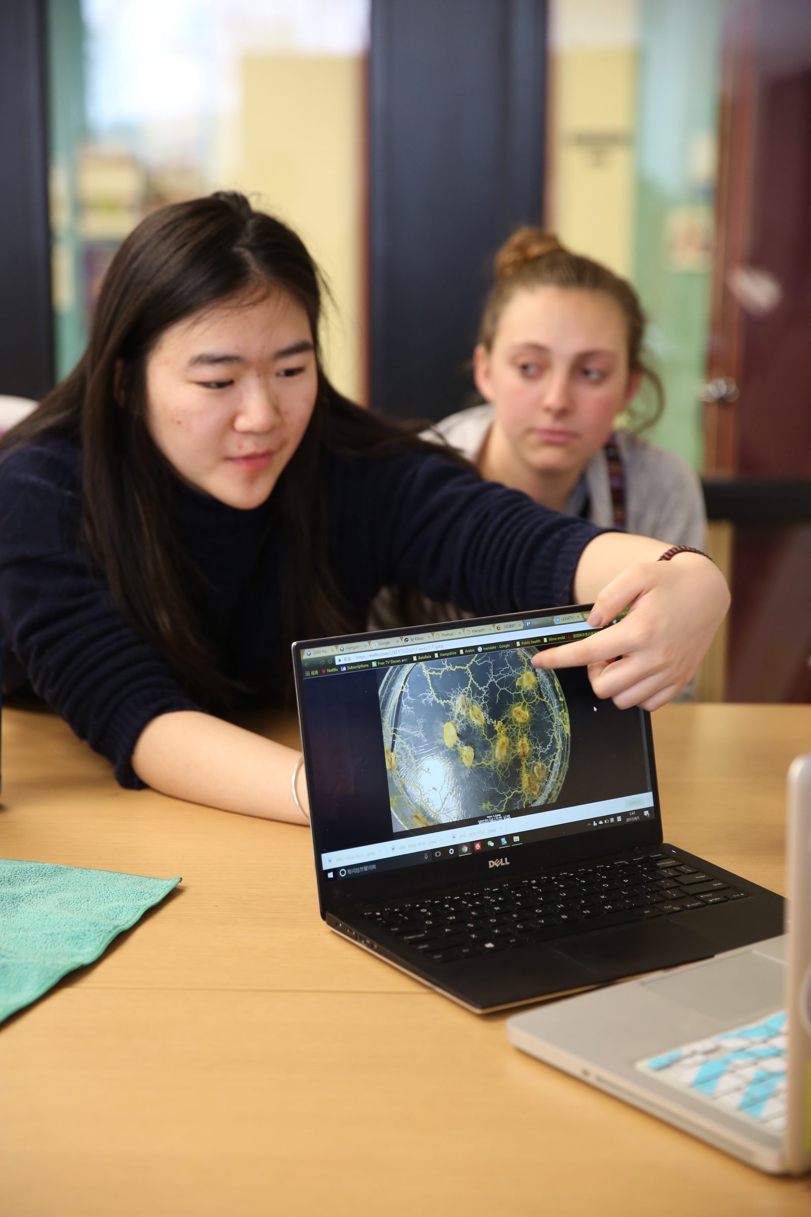 student points to picture of slime mold on laptop