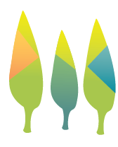Three multicolor leaf illustration