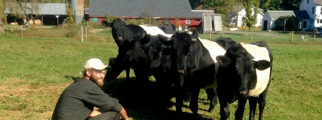 Pete with cows