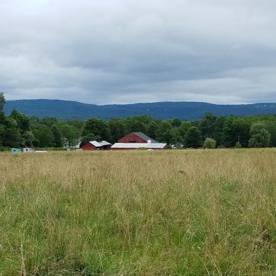 view with farm and mountains in distance