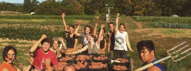 group of students cheering sweet pototo harvest