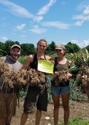 4 people in a field holding garlic bunches and a sign that says 