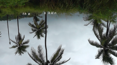 Still from sweat/tears/sea, upside down palm trees with text