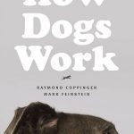 How Dogs Work cover