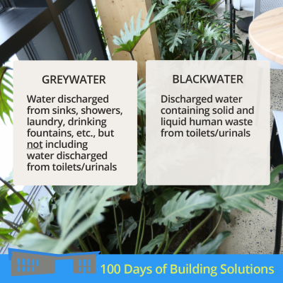 Text on top of a photo with green plants. Text reads: greywater: water discharged from sinks, showers, laundry, drinking fountains, etc., but not including water discharged from toilets or urinals. Blackwater: discharged water containing solid and liquid waste from toilets and urinals. A banner at the bottom of the image includes a simple shape of the R.W. Kern Center and reads: 100 Days of Building Solutions.