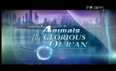 animals in the Quran, Zaghloul El Naggar, Islam and Science