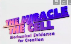 Miracle of the Cell, Creation