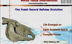 evolution islam harun yahya fossils